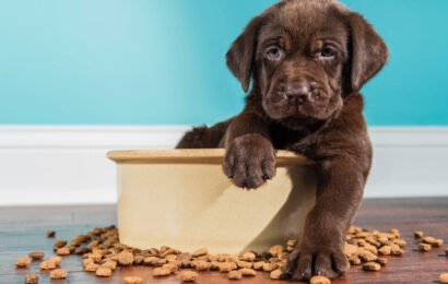 UPS66CWOGRDYPNHN27TA5ESREM UPS66CWOGRDYPNHN27TA5ESREM